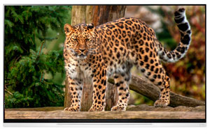 ЖК/LCD телевизор LG OLED65E9PLA