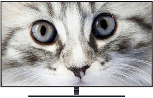 ЖК/LCD телевизор Samsung QE75Q9FNA