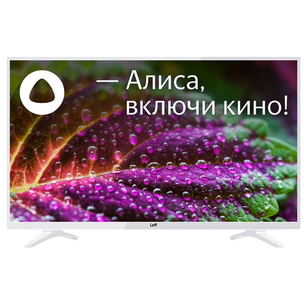 Leff 43F541T
